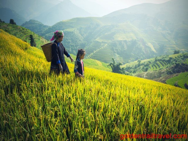 North Vietnam Walking Tour Sapa, Muong Hum 3 Days